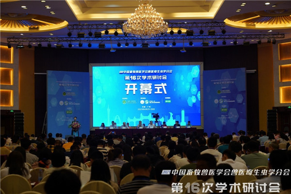 图片说明