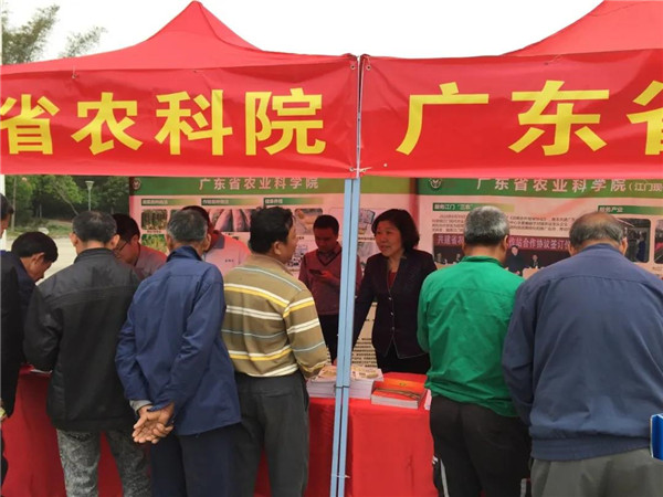 图片说明