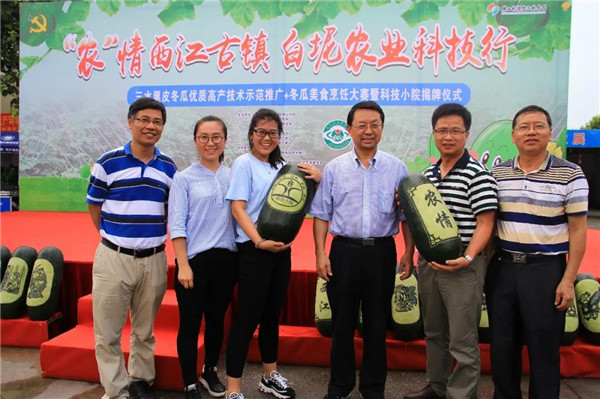 图片说明