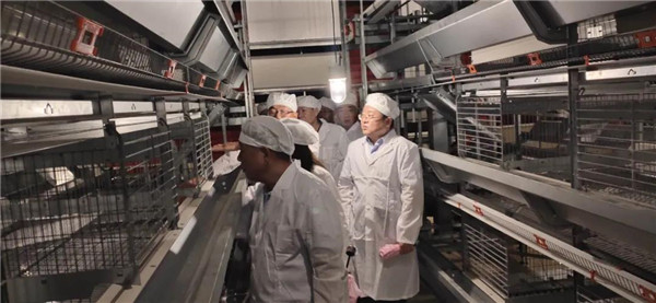 图片说明