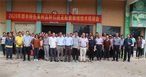 图片说明