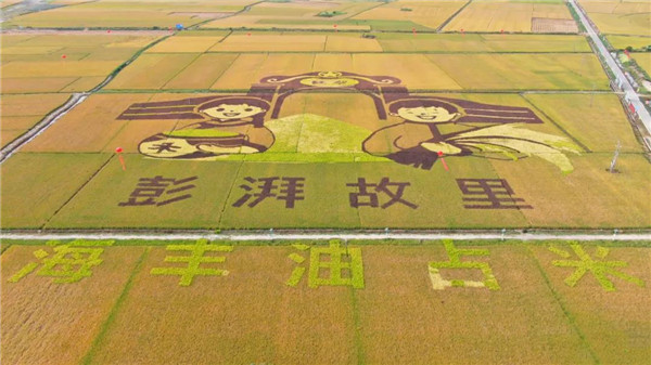 图片说明