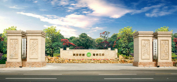 图片说明