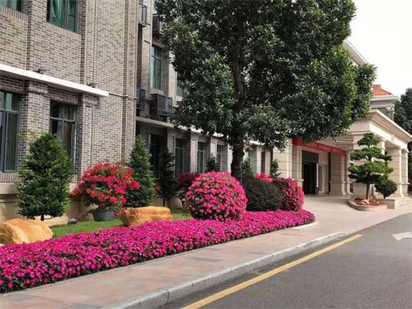 图片说明