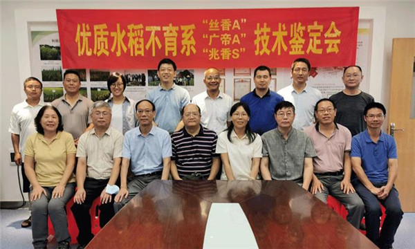 图片说明