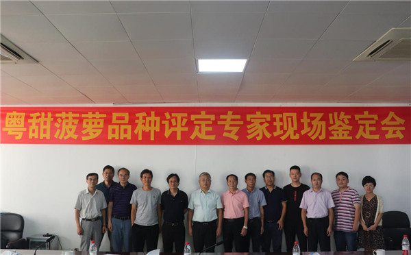 图片说明