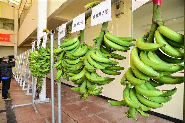 图片说明