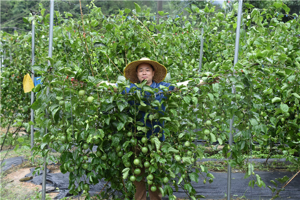 图片说明