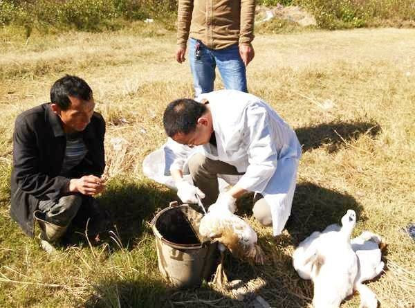 图片说明