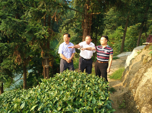 图片说明