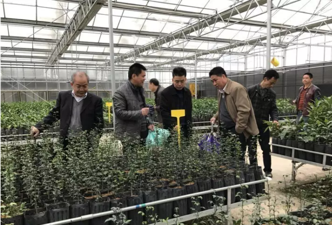 图片说明