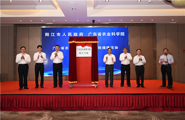 图片说明