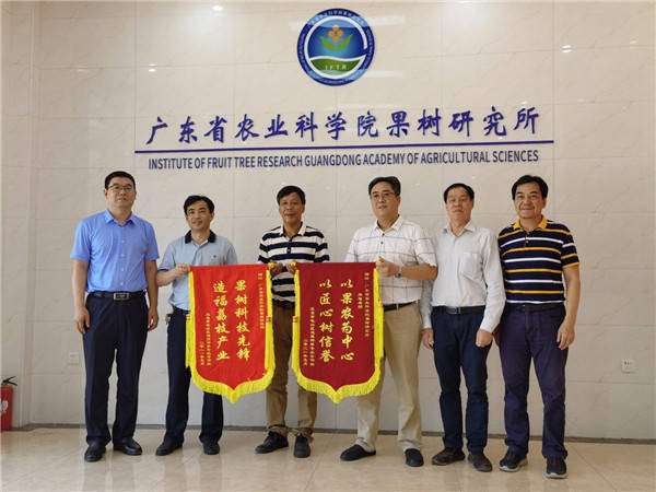 图片说明