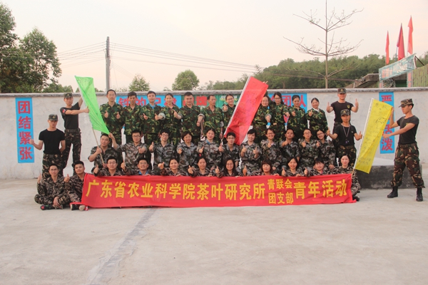 图片说明