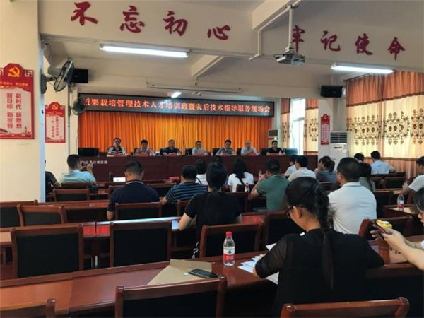 图片说明