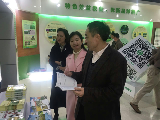 图片说明