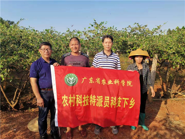 图片说明