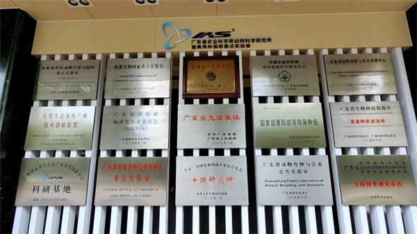图片说明