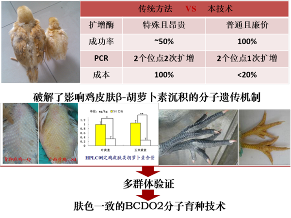 图片说明