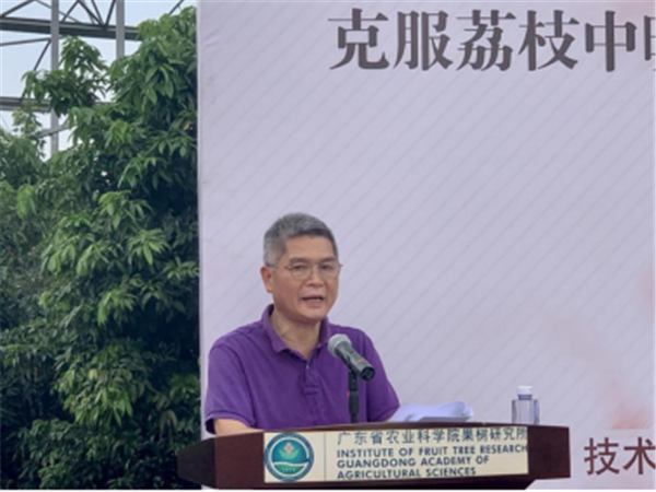 图片说明