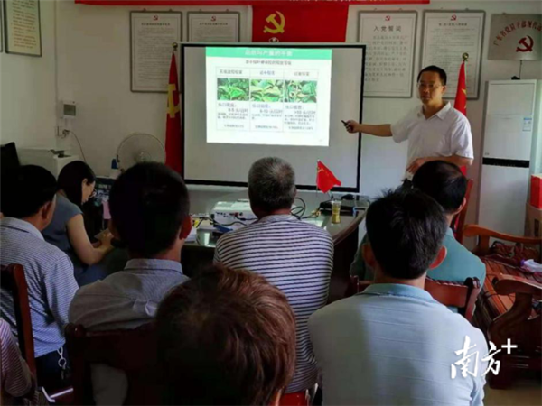 图片说明