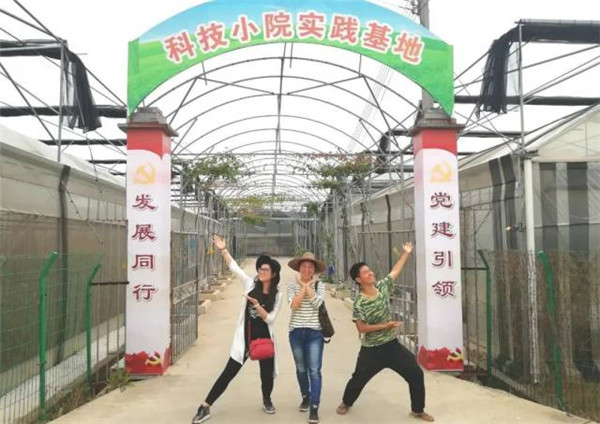 图片说明