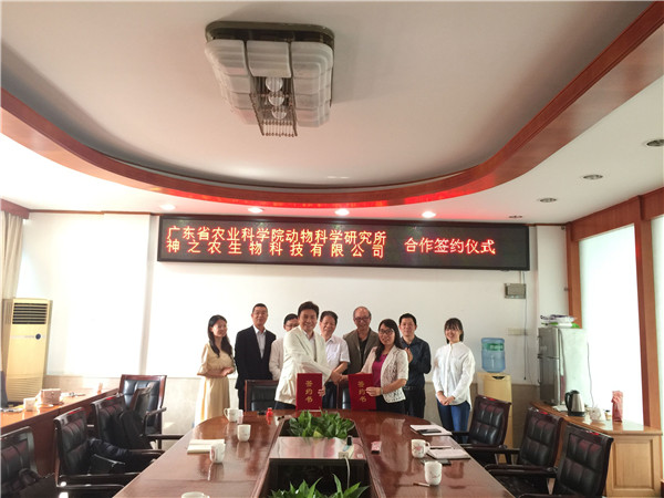 图片说明