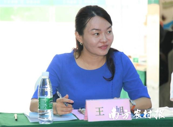图片说明