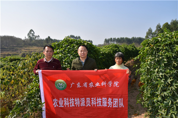 图片说明