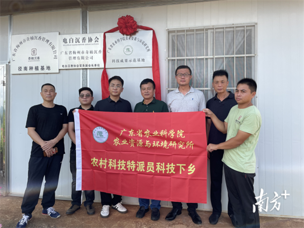 图片说明