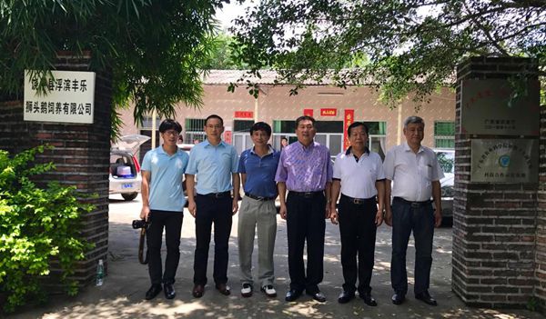 图片说明