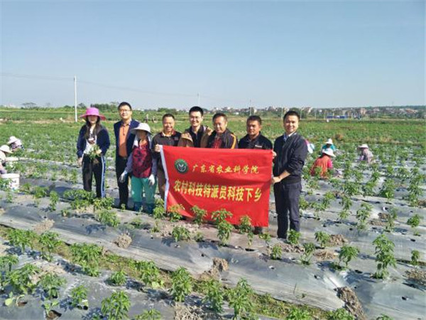 图片说明