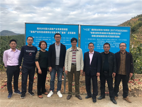 图片说明