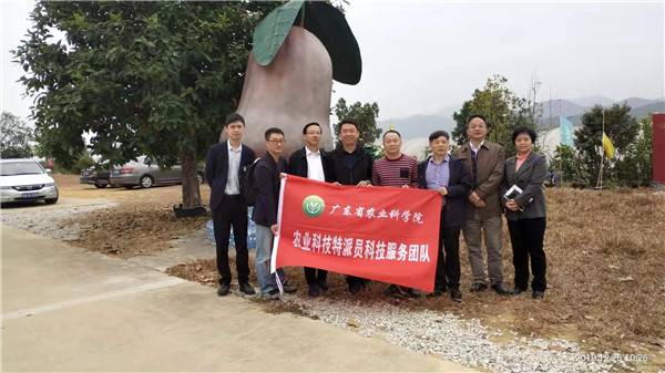 图片说明