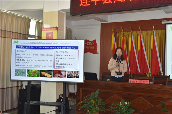 图片说明
