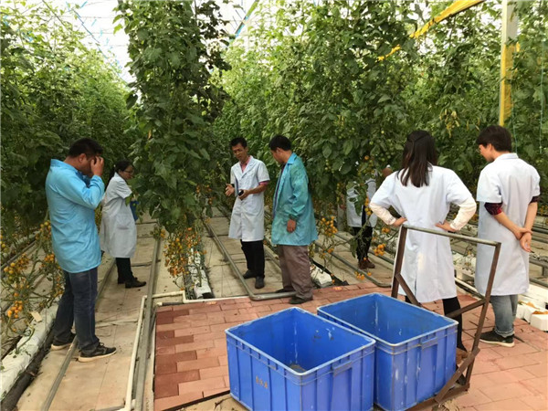 图片说明