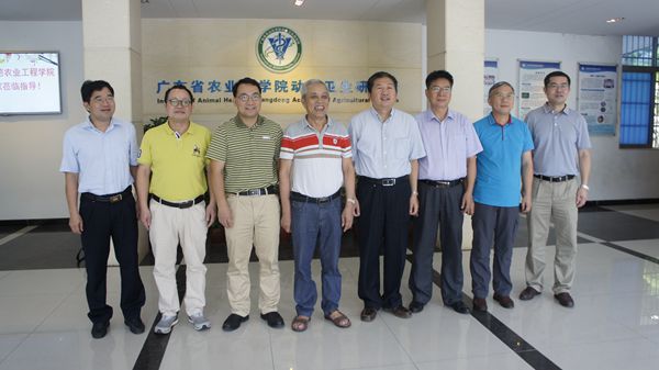 图片说明
