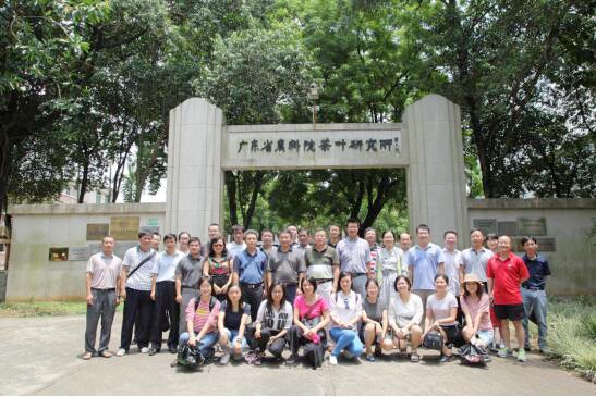 图片说明