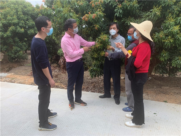 图片说明