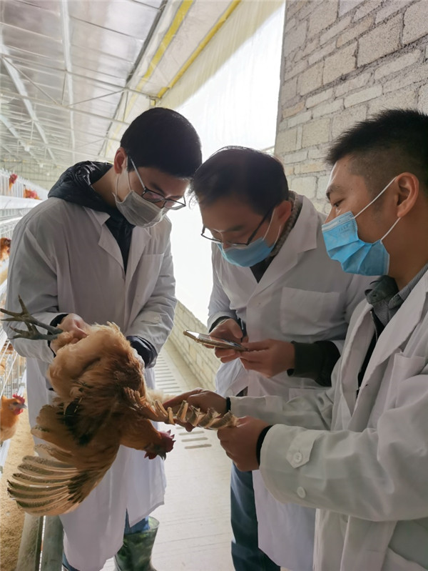 图片说明