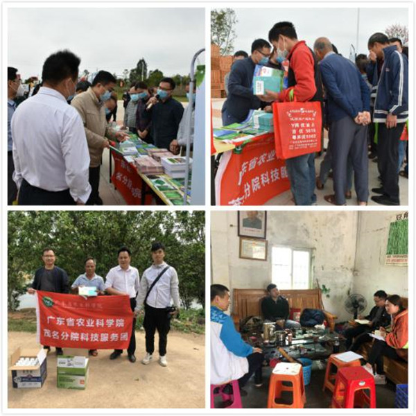 图片说明