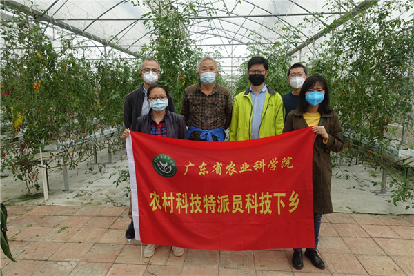 图片说明