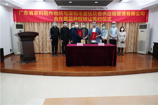 图片说明