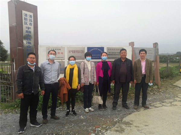 图片说明