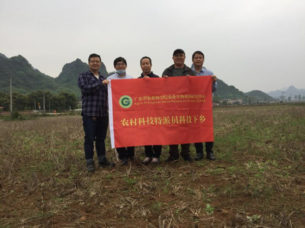 图片说明