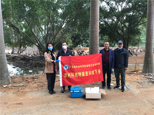图片说明