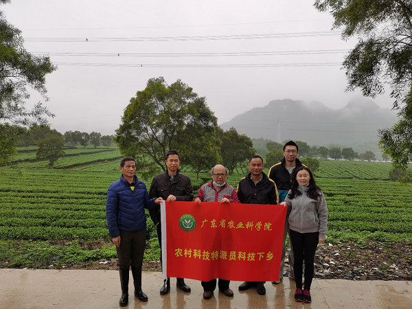 图片说明