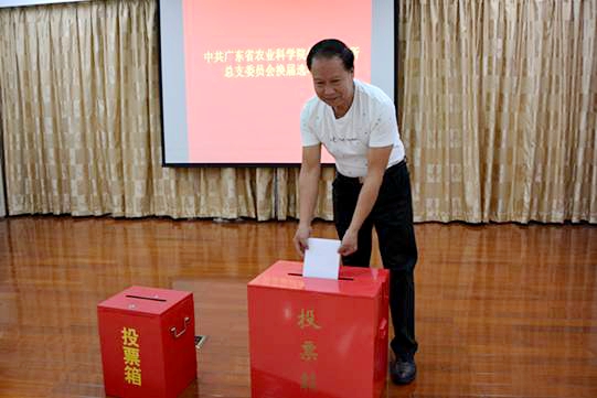 图片说明