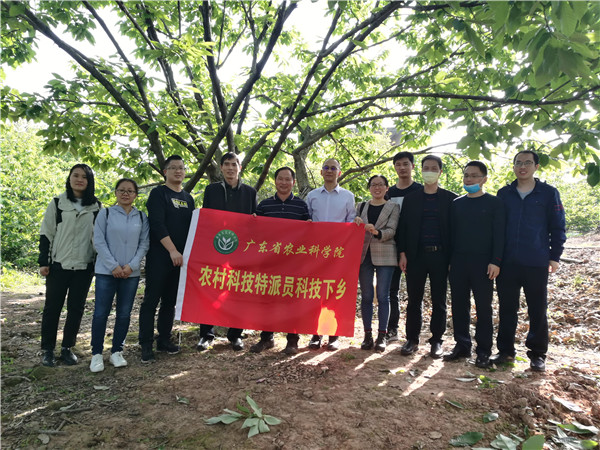 图片说明