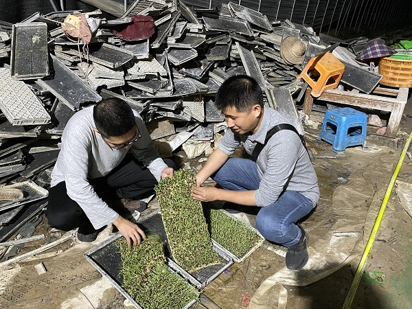 图片说明